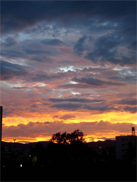 八王子 歯並び、八王子 矯正歯科