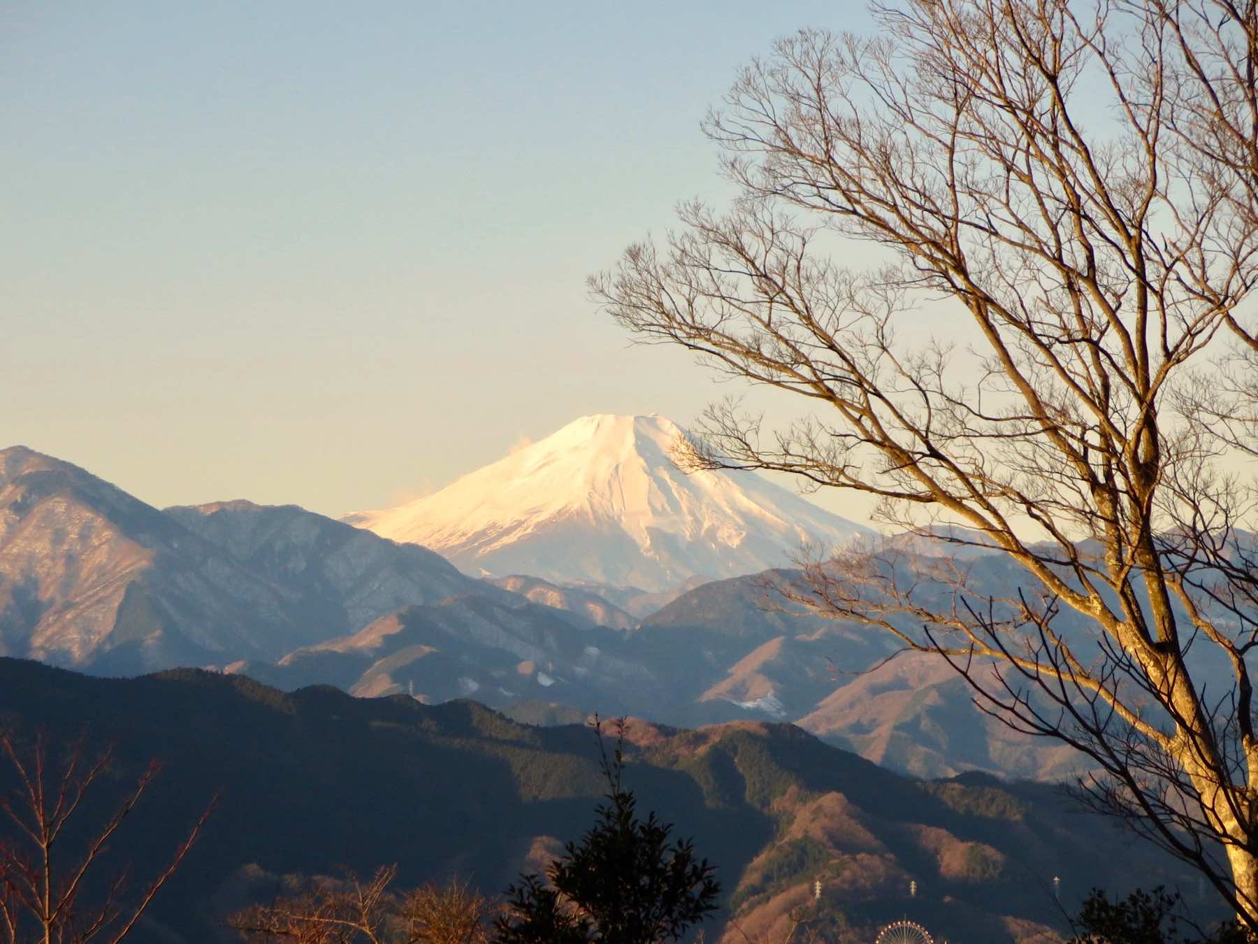 八王子 歯並び、八王子 矯正歯科