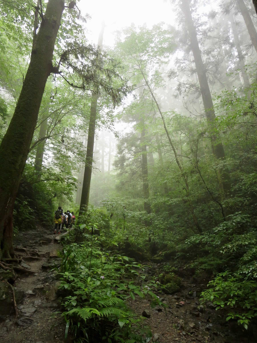 八王子 歯並び、八王子 矯正歯科